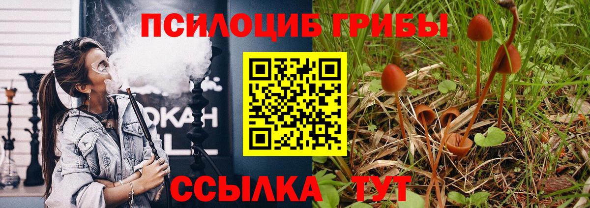 наркота  Псилоцибиновые грибы Psilocybine cubensis  Вход с VPN  Сергиев Посад 
